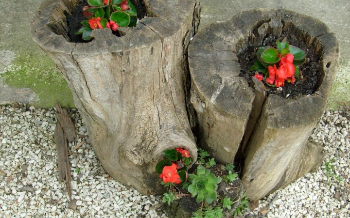 Már lehet nevezni a virágosítási versenyre