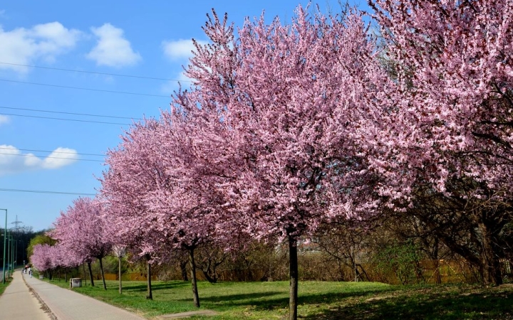Ma még szép idő, keddtől durva lehűlés