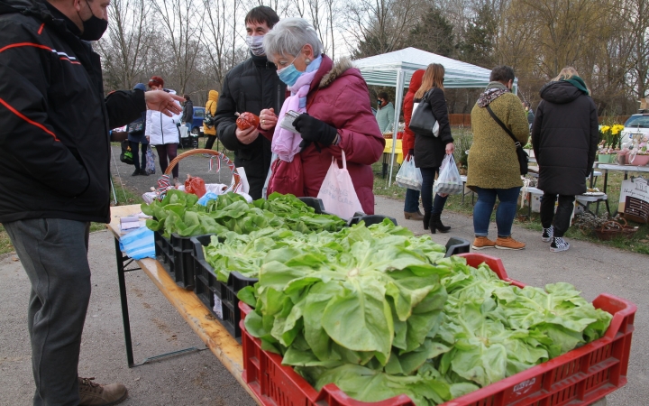 Kincsekkel telik a Szalki-sziget szombaton