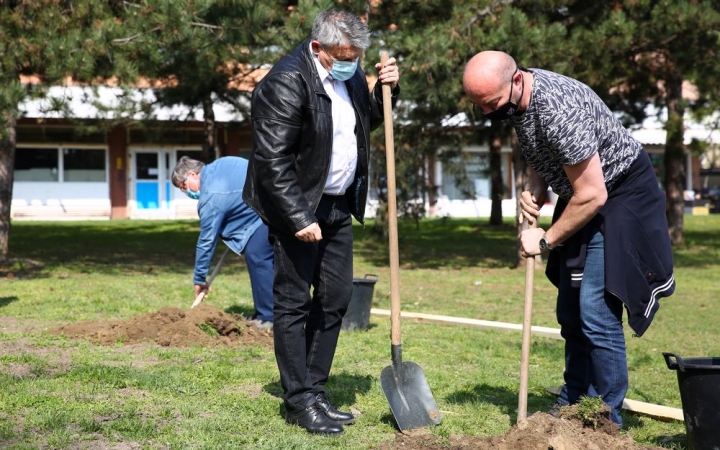 Figyelemfelhívó faültetés a Föld napján