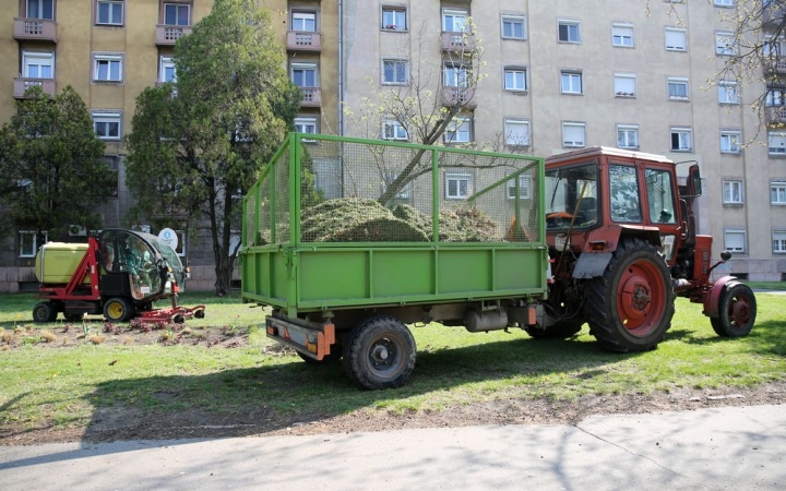 A fű nő, az élet megy tovább a járvány ellenére is