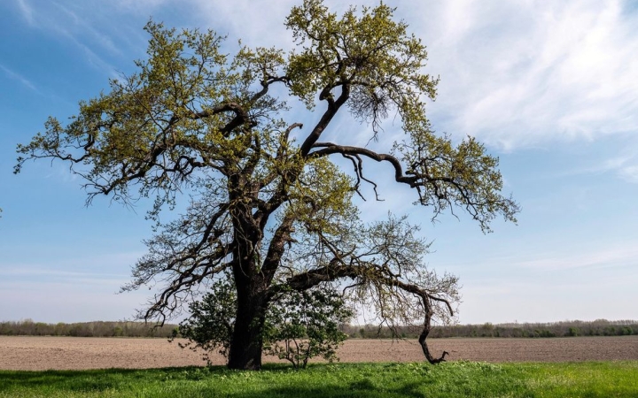 Időjárás: még csak a naptár szerint május