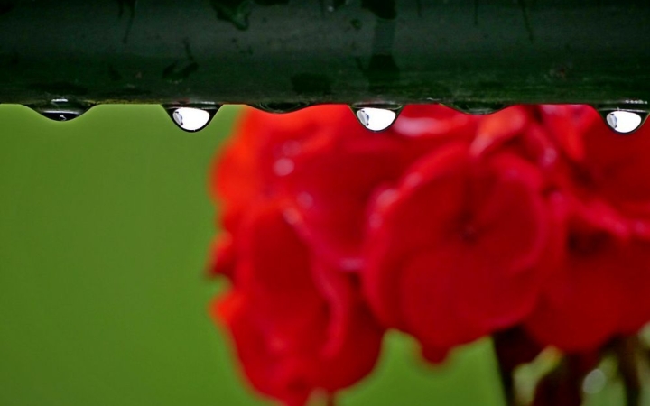 Nyárias nyitány, esős, viharos folytatás