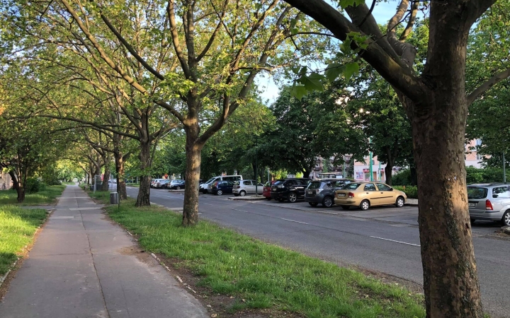 Növényvédelmi permetezések lesznek városunkban