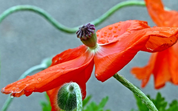 A hét közepén ér véget a tavaszi ősz