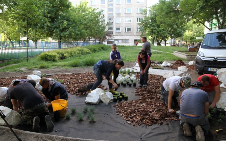 DSTV: közösségi sziklakert a Rómain