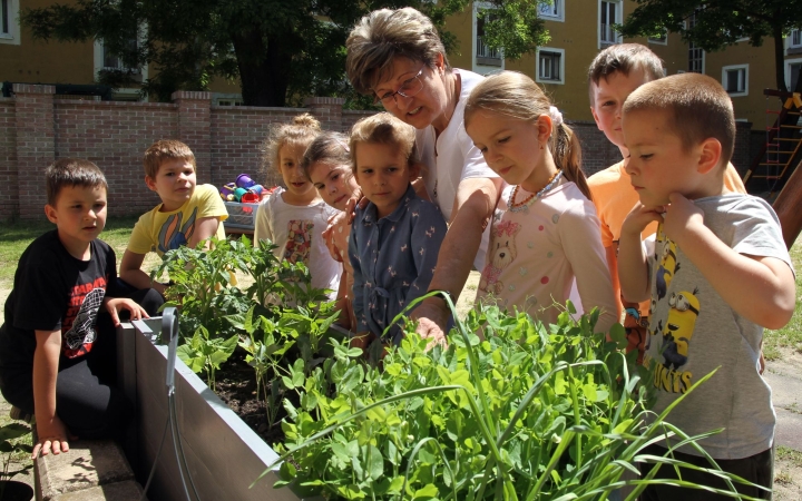 Csodaeper és csemetehét a Csillagvirágban