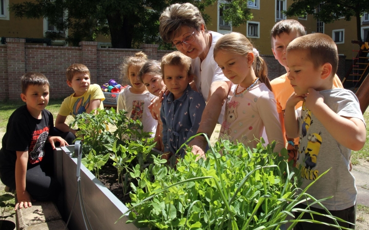 Csodaeper és csemetehét a Csillagvirágban