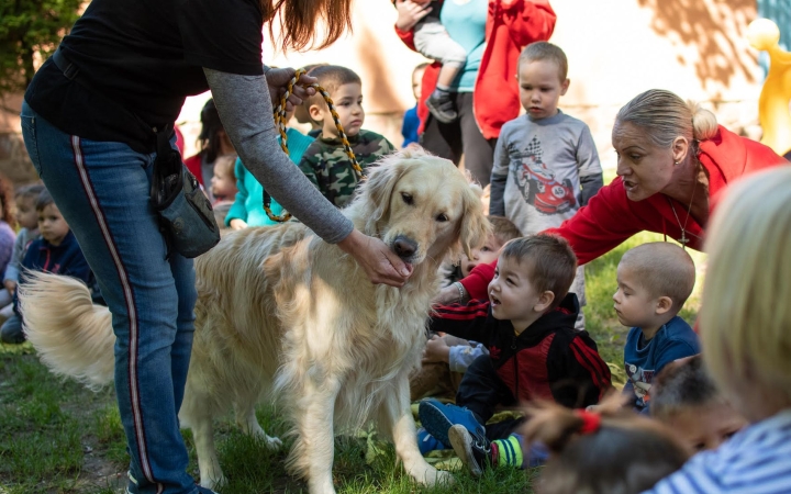 A társállatok szerepe, jelentősége (1.)