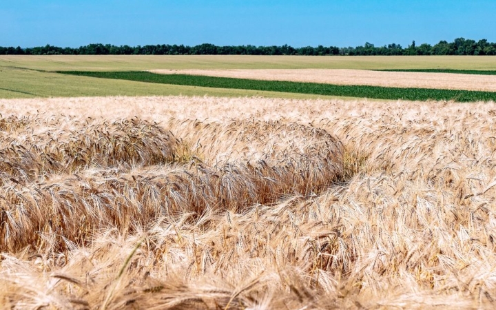 Újra hőség – de csak szerdáig