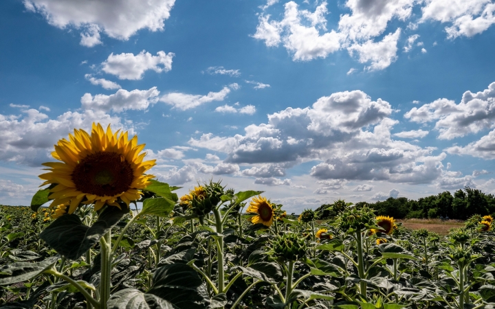 Beüt megint a forró nyár