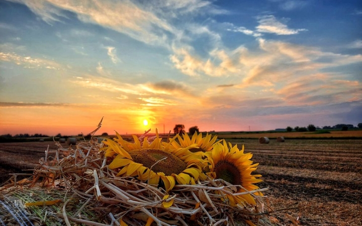 Újabb hőhullám után esős napok