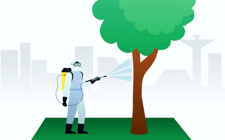 Növényvédelmi permetezés a köztereken