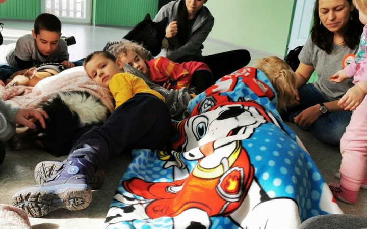 A társállatok szerepe, jelentősége (3.)