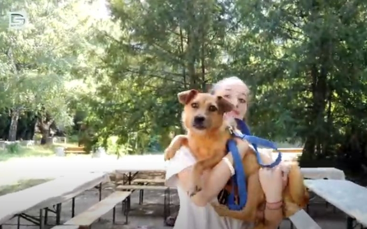 DSTV: örökbefogadás, adománygyűjtés