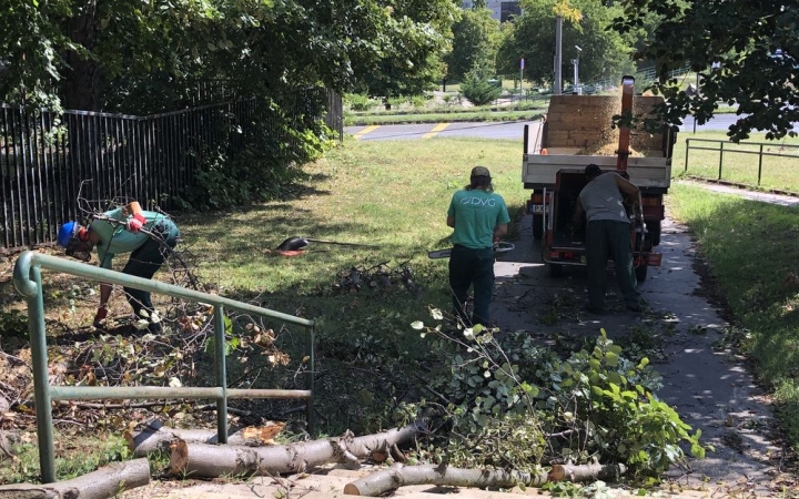 DSTV: viharkárok után