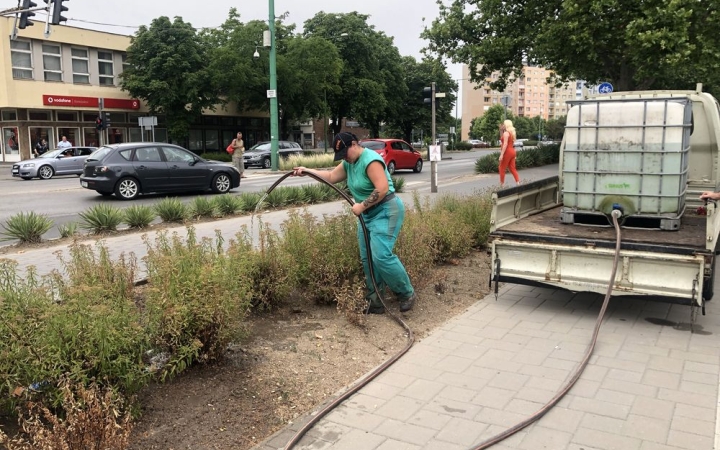 Fokozott öntözéssel próbálják védeni a növényeket