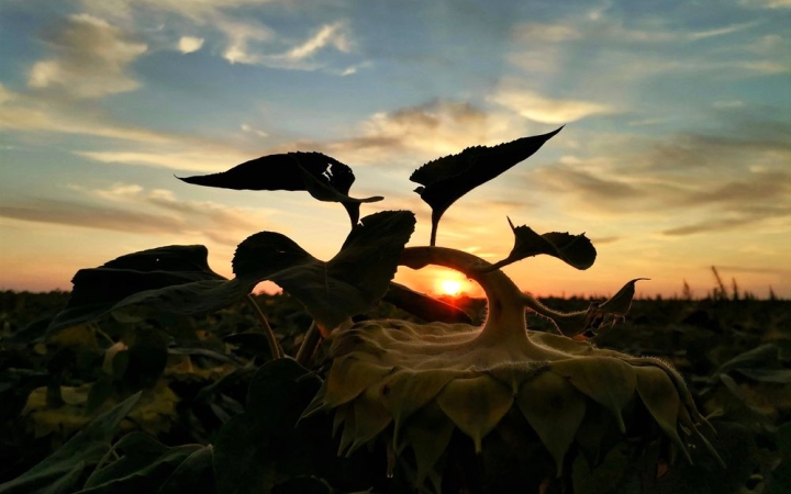 Küszöbön a hőségzáró hidegfront