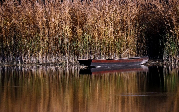 Lassan, csöndben beköszön az ősz