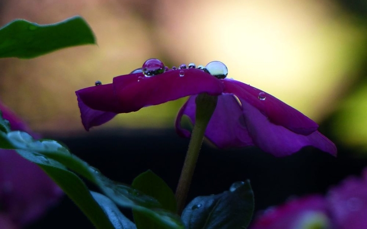 Esős idővel köszönt be az ősz