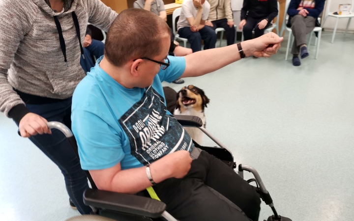 A társállatok szerepe, jelentősége (6.)