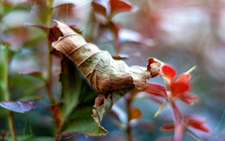 Felhős, esős, egyre hűvösebb idő