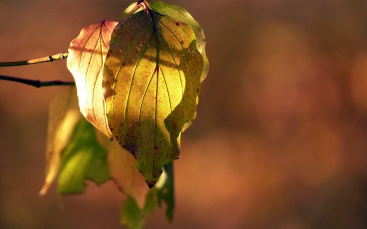 Még visszaköszön a nyár – de szerdától komoly esőzés várható