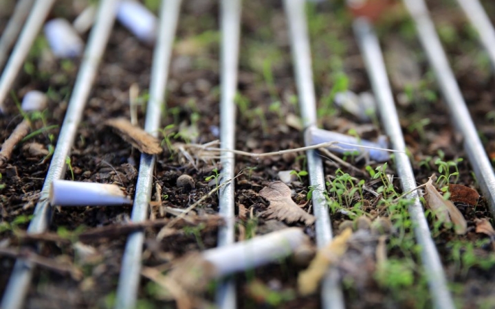 Fokozott figyelemmel a rendezett közterekért