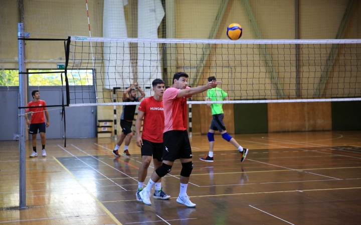 Kupával kezdenek a röplabdázók