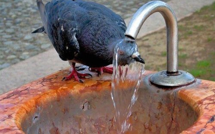 Itt a nyár - 30 fok, zápor, zivatar - ez vár ránk a héten