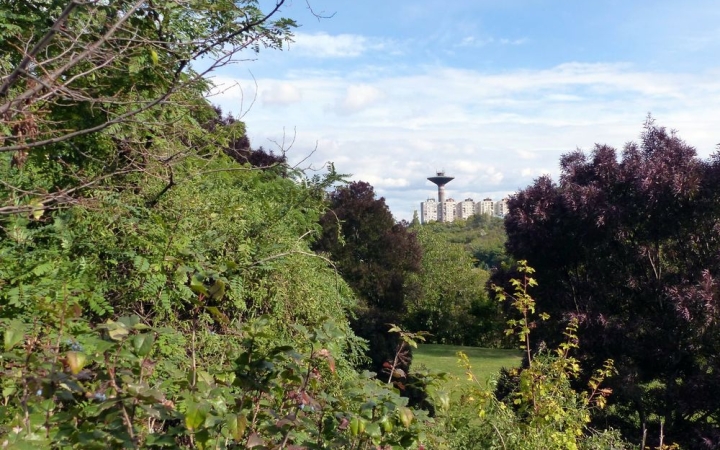 Enyhe, kellemes őszutó – aztán változékonyra fordul