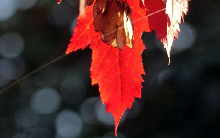 Csendes, nyugalmas, derült idővel búcsúzik az október