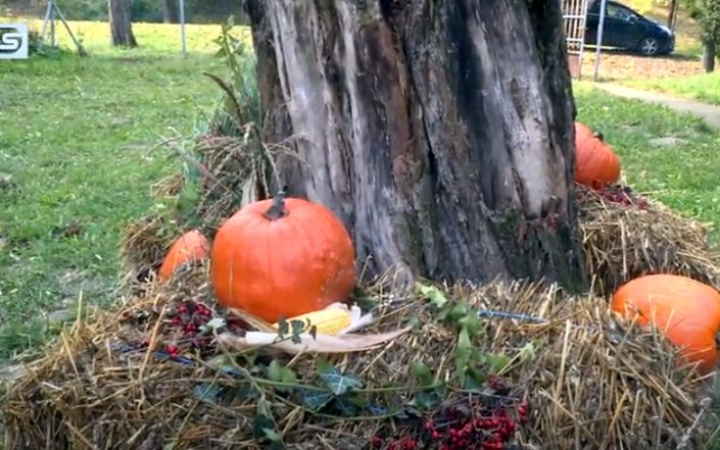 DSTV: tökfaragó versenyt hirdettek