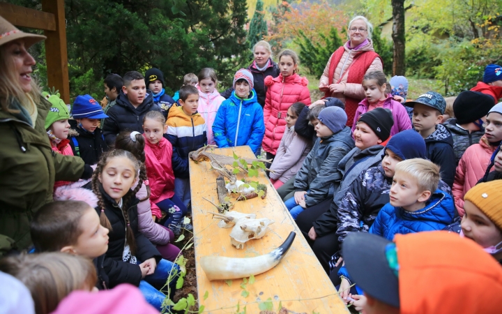 Parádés kísérlet az arborétumban (galériával)