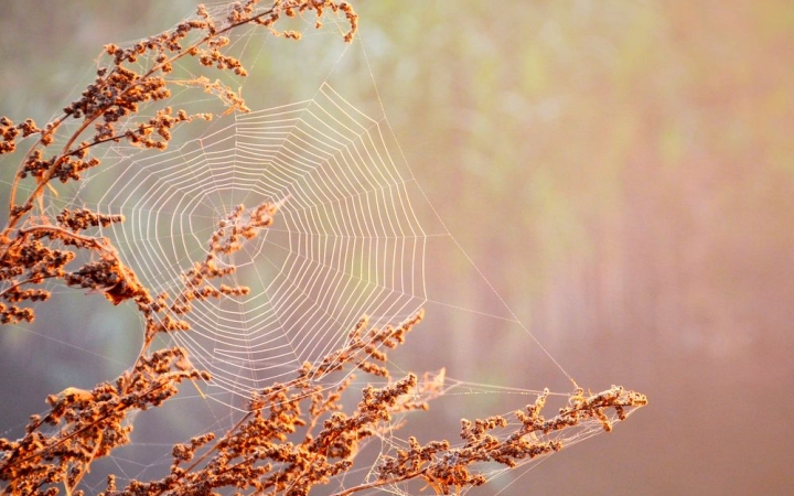 Borúra derű – szeles végjátékkal