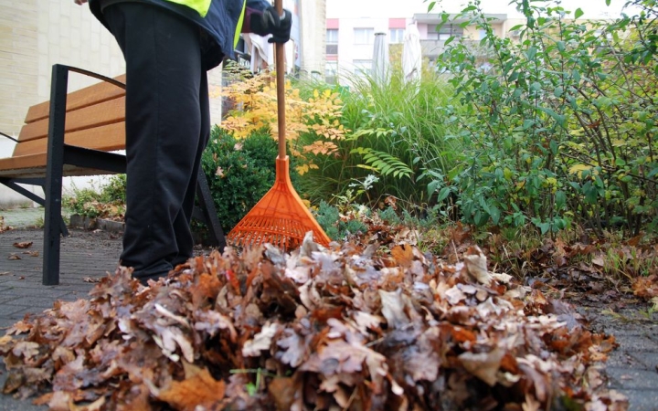 Közösségi falevélszedést szerveznek – csatlakozókat várnak!