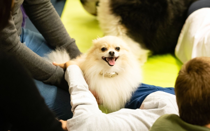 Kutyakommunikációs szemináriumra várunk!