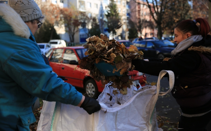 Közösségi falevélszedés: sikeres volt az első nekifutás (galériával)