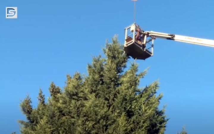 DSTV: díszbe öltözik Újtelep karácsonyfája (is)