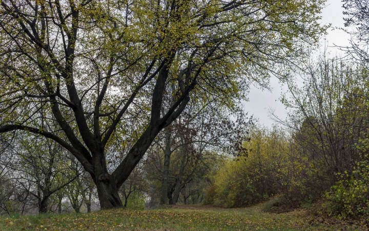 Lehűlés, enyhülés, lehűlés – sok csapadékkal