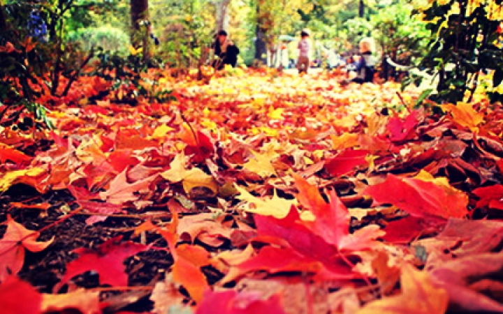 Heti meteo: párás, de enyhe