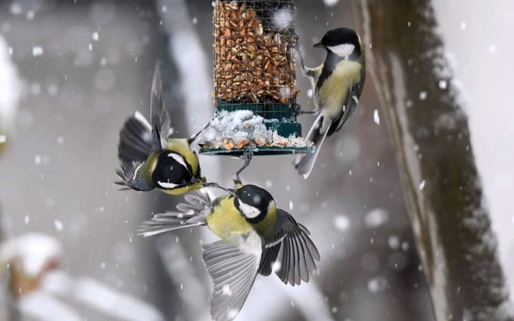 Változékony, de viszonylag enyhe időnk lesz