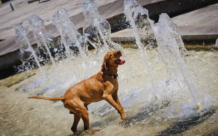 Strandidő lesz a hétvégén