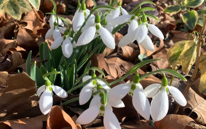 Egyetlen tényező marad változatlan szinte végig: a szél