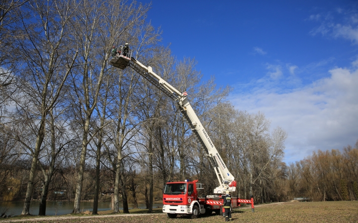 A veszélyes ágak metszésével is végeztek