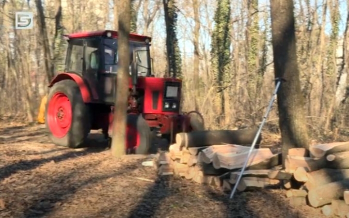 DSTV: folytatódik az erdők rendbetétele