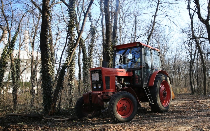 Folytatódtak a faápolási munkák, a cél egy örökerdő létrehozása