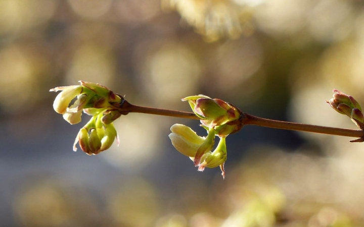 Kopogós reggelek, hideg napok – ez még mindig nem a tavasz