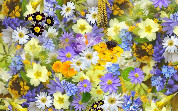 Kedves Lányok, Hölgyek, Asszonyok!