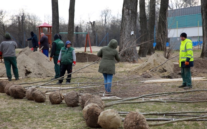 Húsz új fa is ad majd árnyékot a szabadstrandon